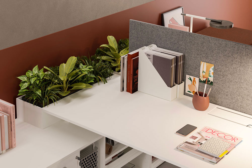 Screen – Dodici Working Screen - Dodici Working